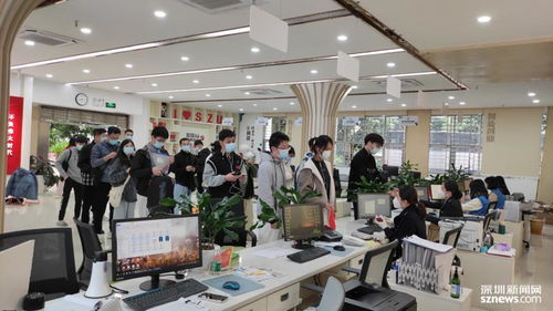 深圳要闻信息咨询服务 洞察湾区动态，赋能决策未来